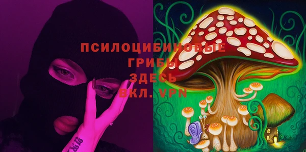 дмт Абдулино