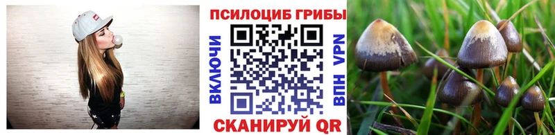 Галлюциногенные грибы мицелий  Красноармейск 